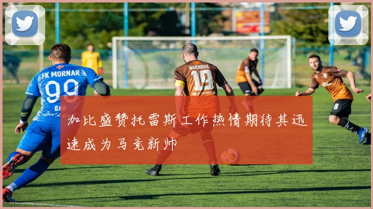 加比盛赞托雷斯工作热情期待其迅速成为马竞新帅